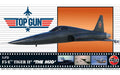 Top Gun F-5E Tiger II 1/72 Airfix A00502 (VENTE FINALE)