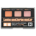 TAMIYA WEATHERING MASTER SET H FIGURES II